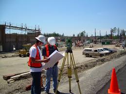 Loftus Surveyors